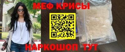 крисы Славгород