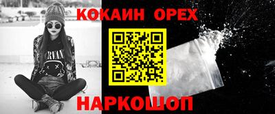 крисы Славгород