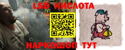 крисы Славгород