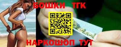 крисы Славгород