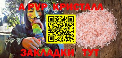 крисы Славгород