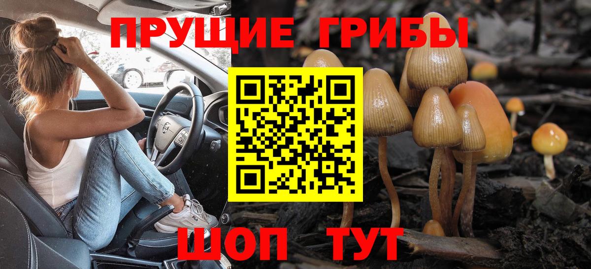 Псилоцибиновые грибы MAGIC MUSHROOMS  Вход с VPN  Псилоцибиновые грибы Cubensis  Нальчик 