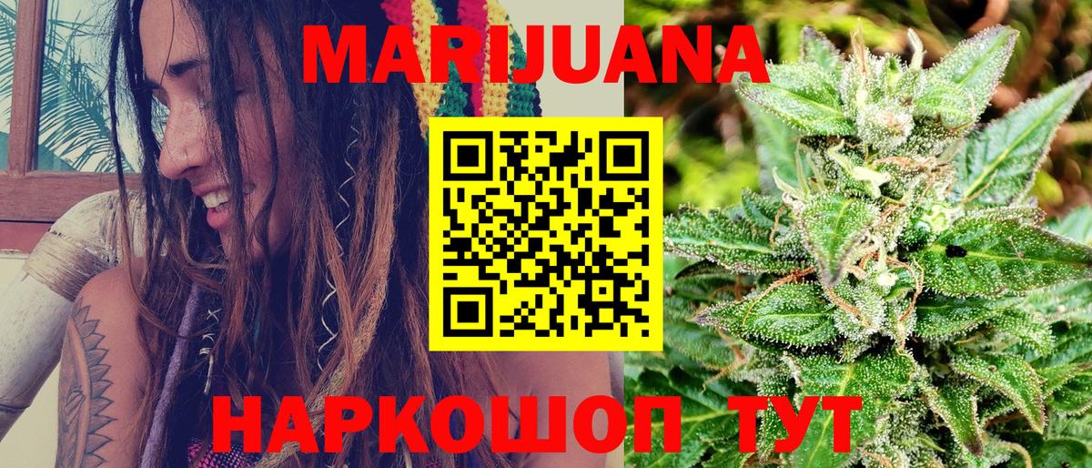 Конопля сатива Нальчик